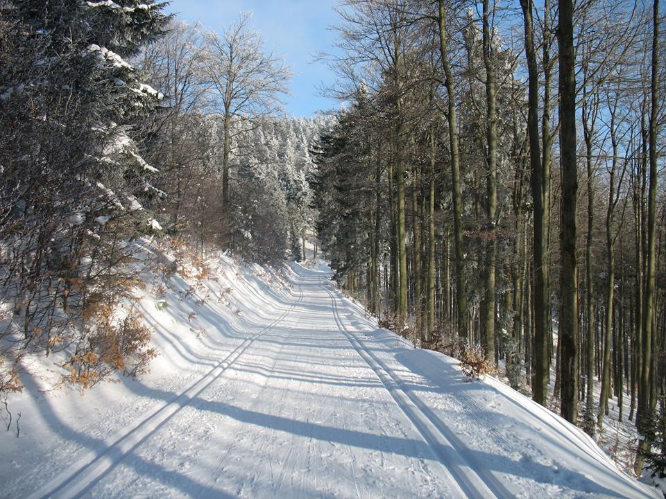 Trasy narciarstwa biegowego w Sudetach